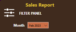 Filter Panel showing Month Year slicer
